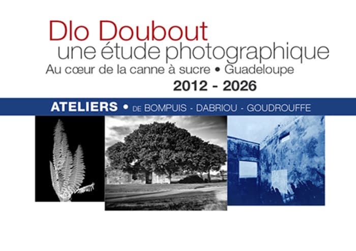 Dlo Doubout - Atelier scolaire en photographie: le photogramme