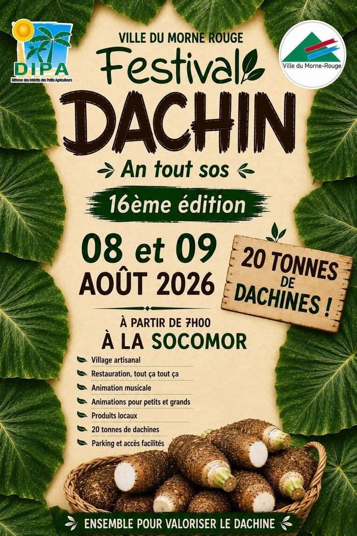 FESTIVAL DE LA DACHIN "An tout sos" 16ème Édition