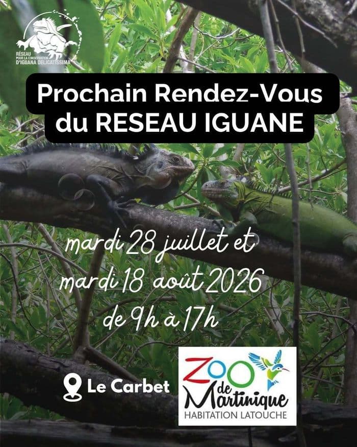 RÉSEAU IGUANE AU ZOO DE MARTINIQUE
